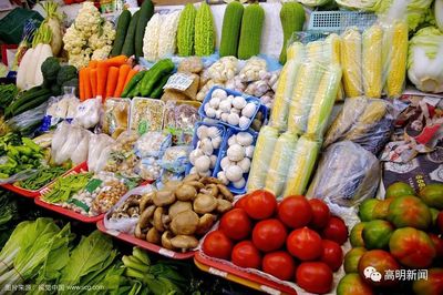 高明首座農產品快檢室投用，織密餐桌安全防護網